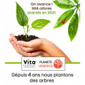 Replantons une foret