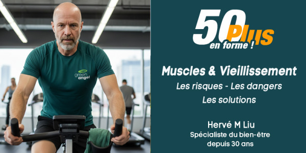 Muscles et Vieillisement
