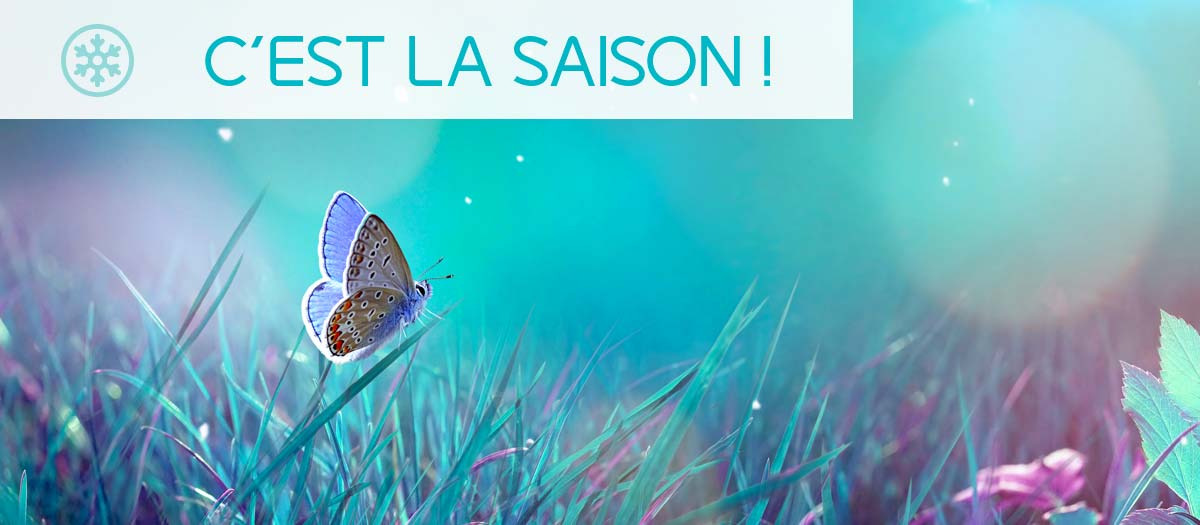 C'EST LA SAISON